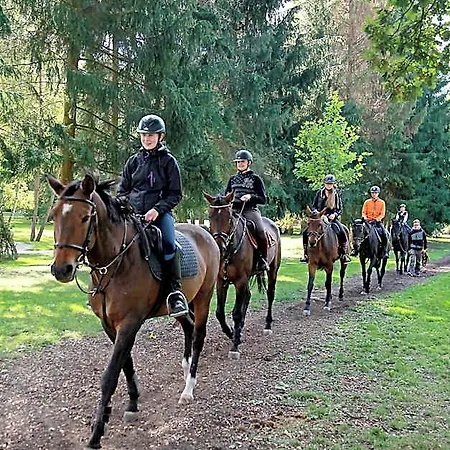 Dobre Casy Poděbrady