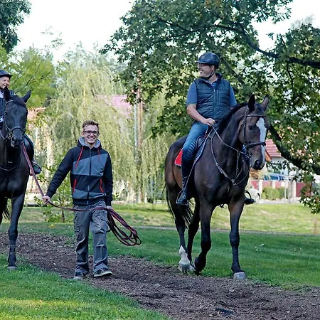 Dobre Casy Bed & Breakfast Podebrady