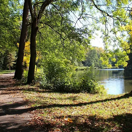 Dobre Casy Poděbrady