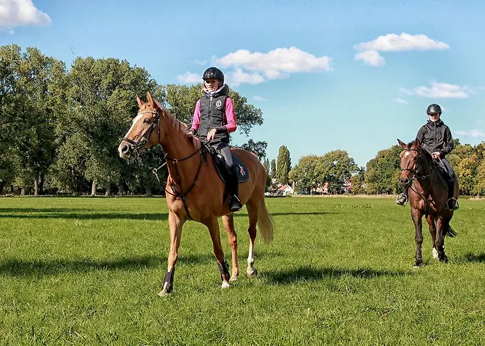 Dobre Casy Отель типа 