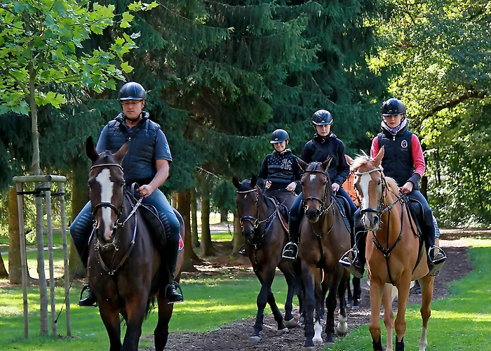 Dobre Casy Отель типа 