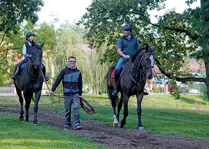 Dobre Casy Отель типа 